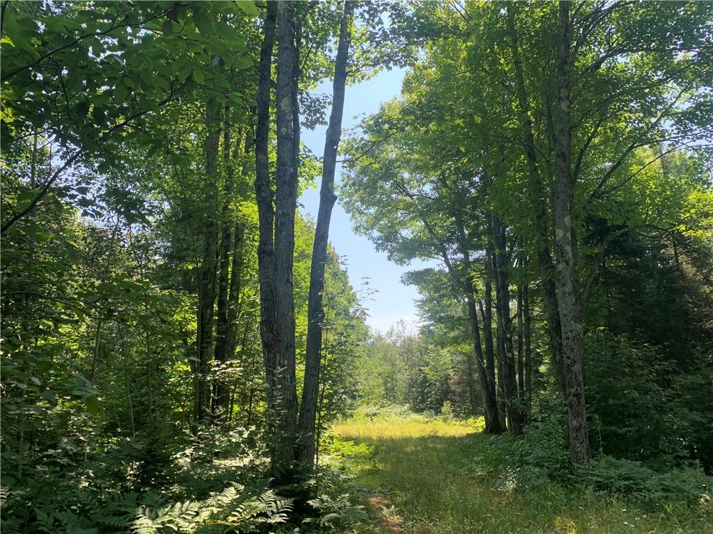 71835 W Lake Dr Mellen WI 54546 1575841 image1