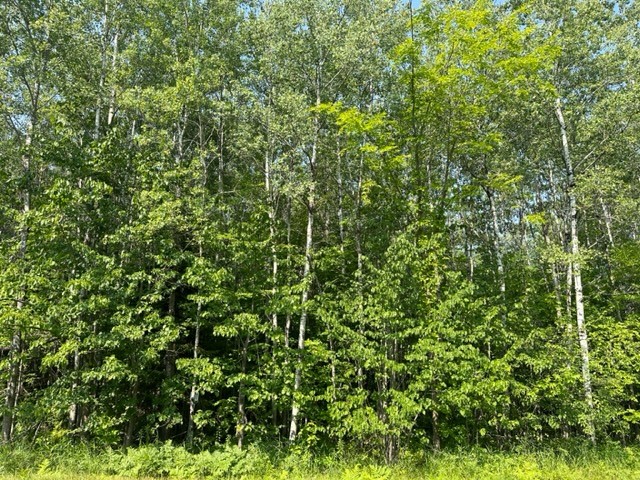 7189 N County Highway W Winter WI 54896 1575755 image1