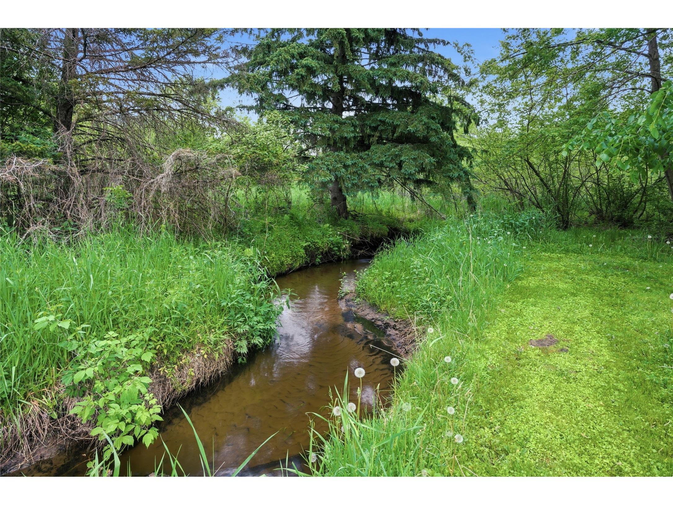 7194 W Nelson Road Mondovi WI 54755 - COON CREEK 1601705 image15