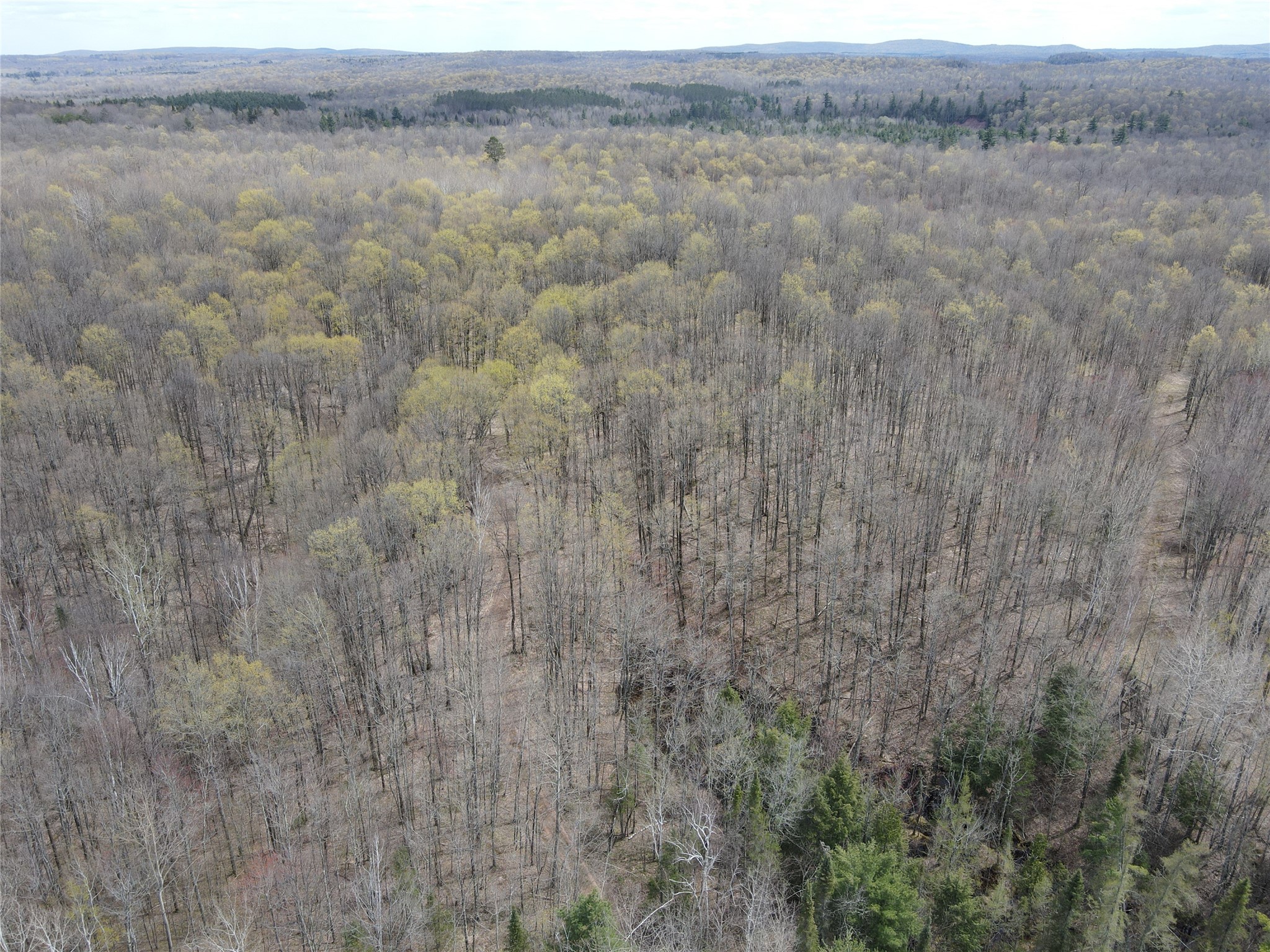 72303 Pufal Road High Bridge WI 54846 1598616 image11
