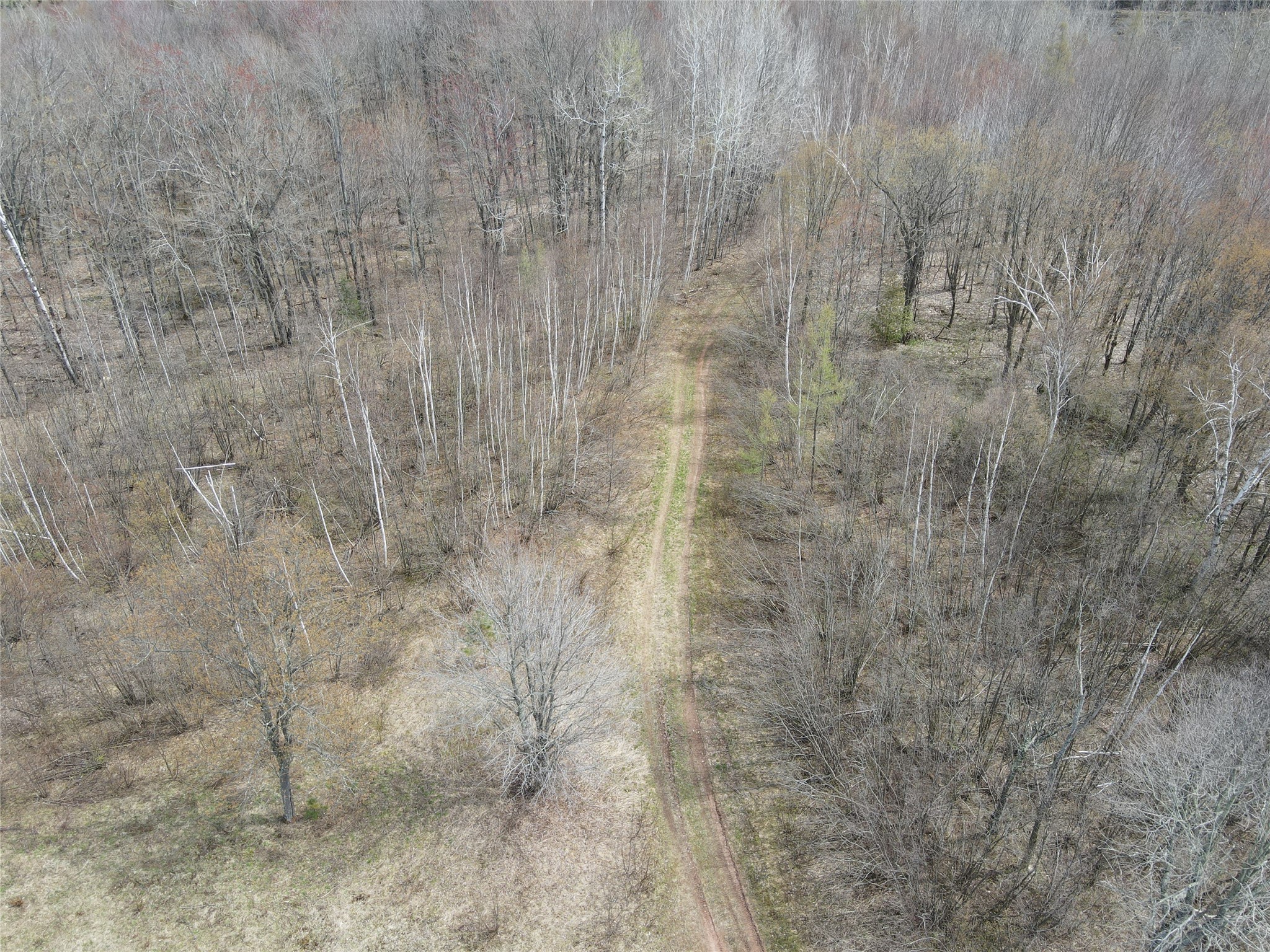 72303 Pufal Road High Bridge WI 54846 1598616 image12