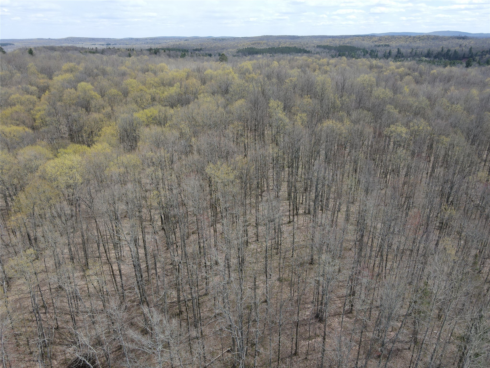 72303 Pufal Road High Bridge WI 54846 1598616 image57