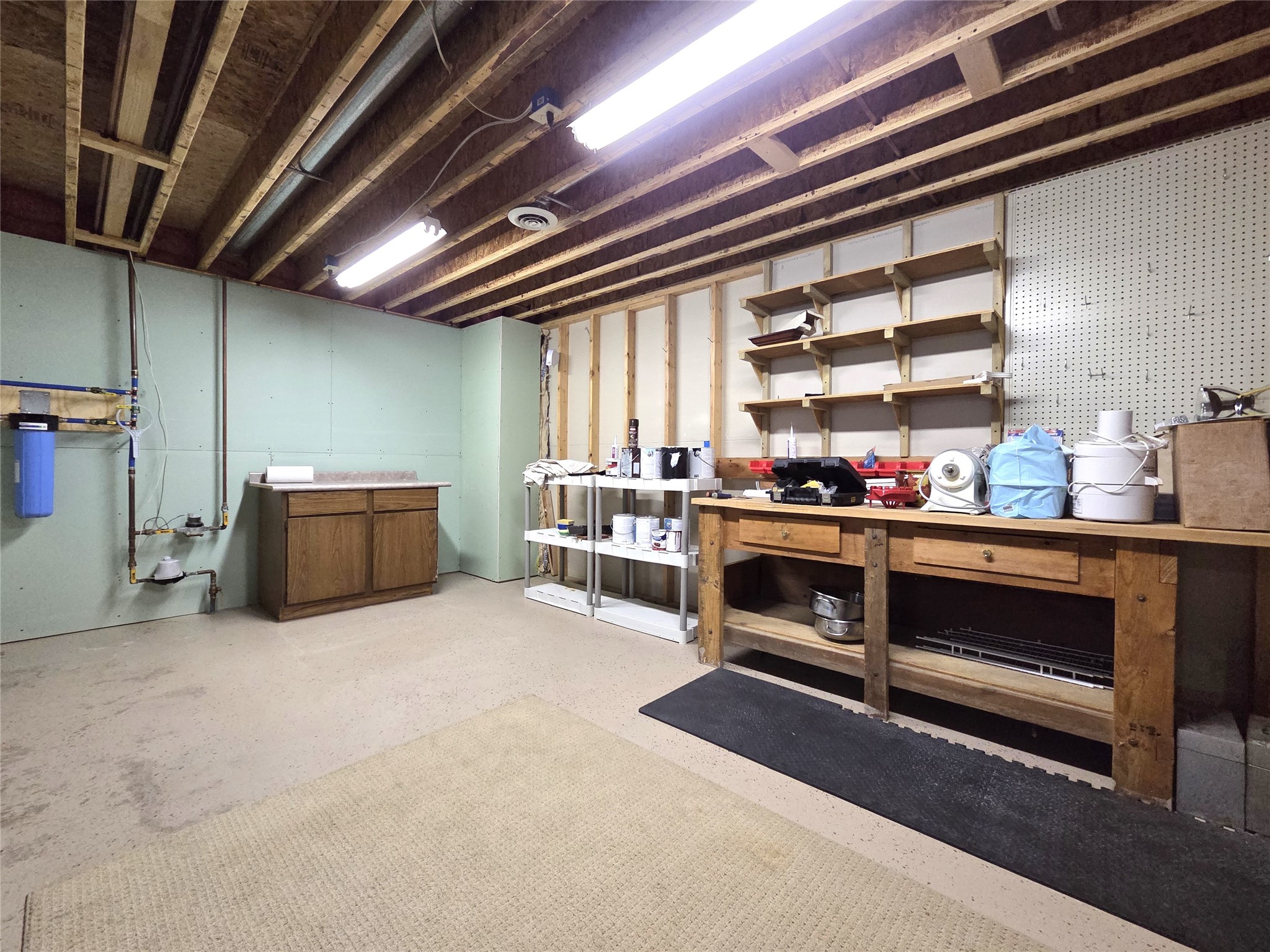 724 Pine Place Rice Lake WI 54868 1602221 image29