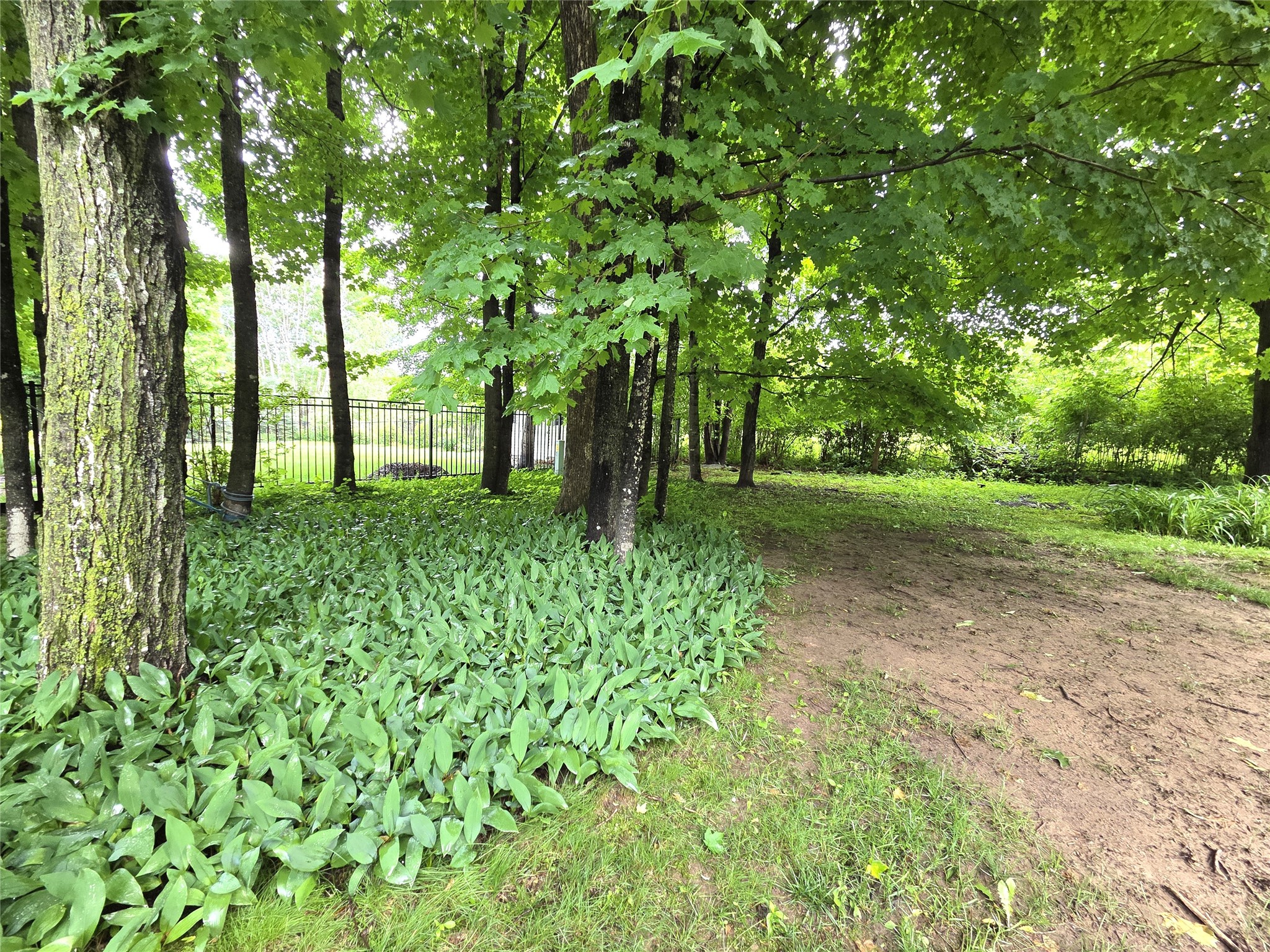 724 Pine Place Rice Lake WI 54868 1602221 image39