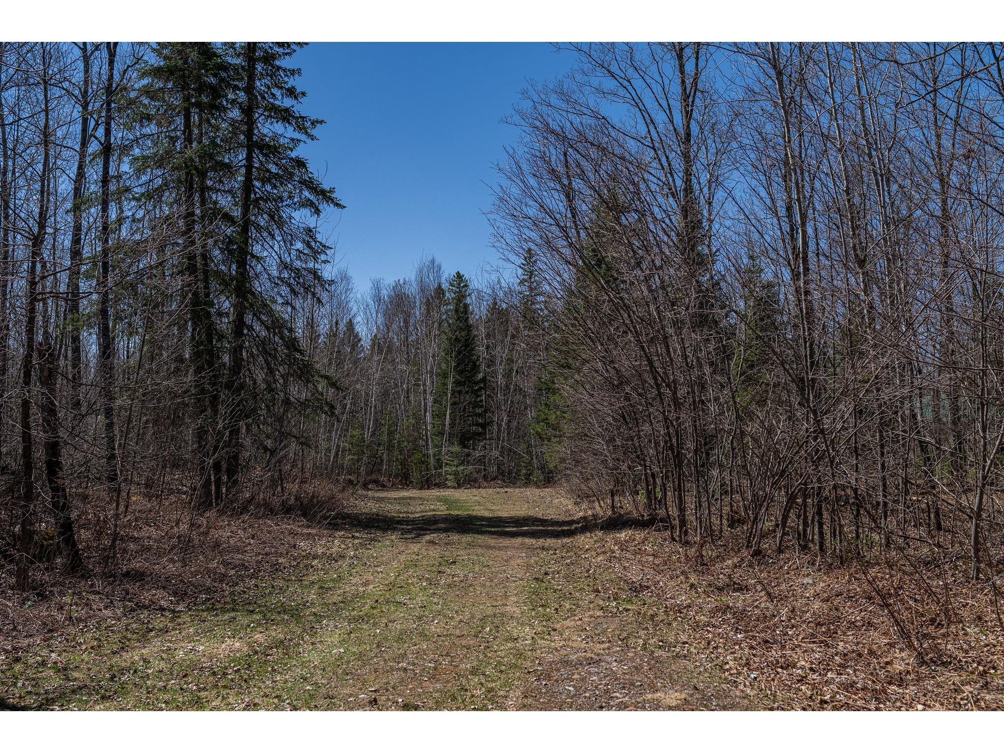 7258N Knowles Road Winter WI 54896 - Loretta 1600231 image36