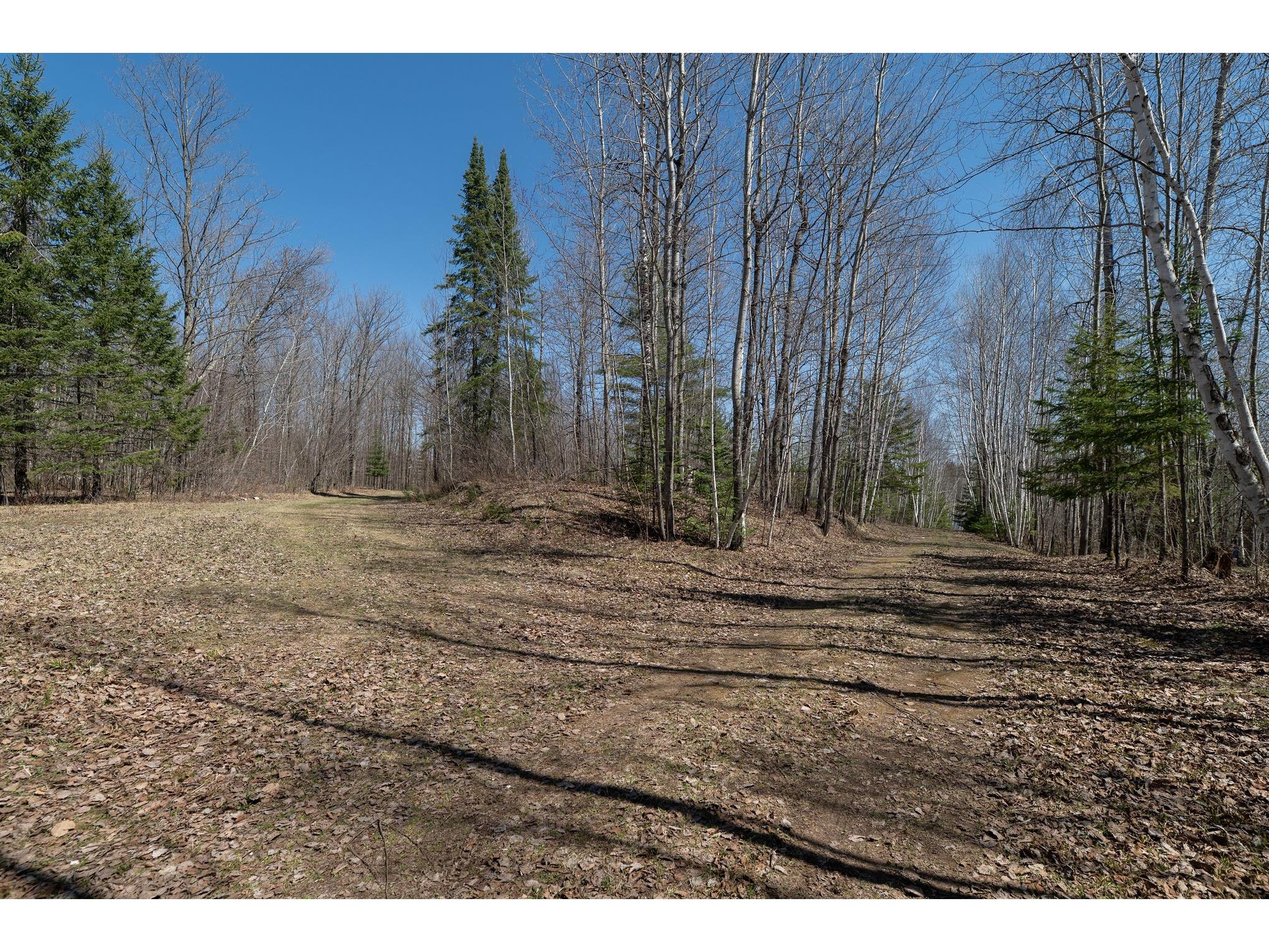 7258N Knowles Road Winter WI 54896 - Loretta 1600231 image54