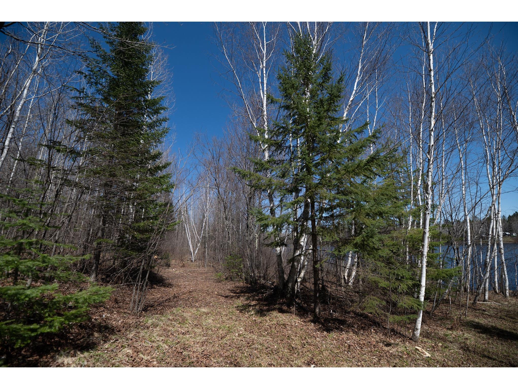 7258N Knowles Road Winter WI 54896 - Loretta 1600231 image55