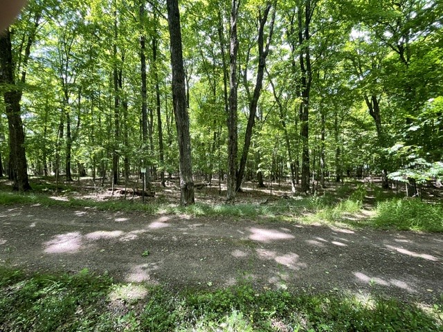 7311N Universal Drive Winter WI 54896 - Perch Lake 1602057 image2