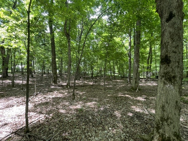 7311N Universal Drive Winter WI 54896 - Perch Lake 1602057 image3