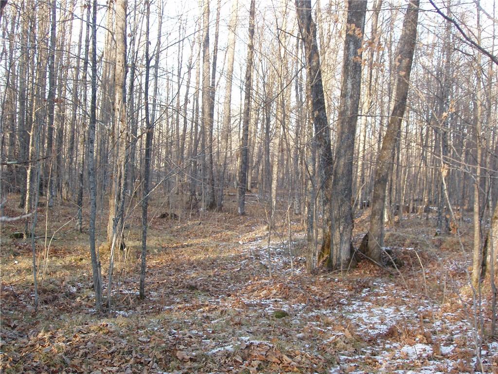 73723 Bear Lake Road Butternut WI 54514 1579256 image1