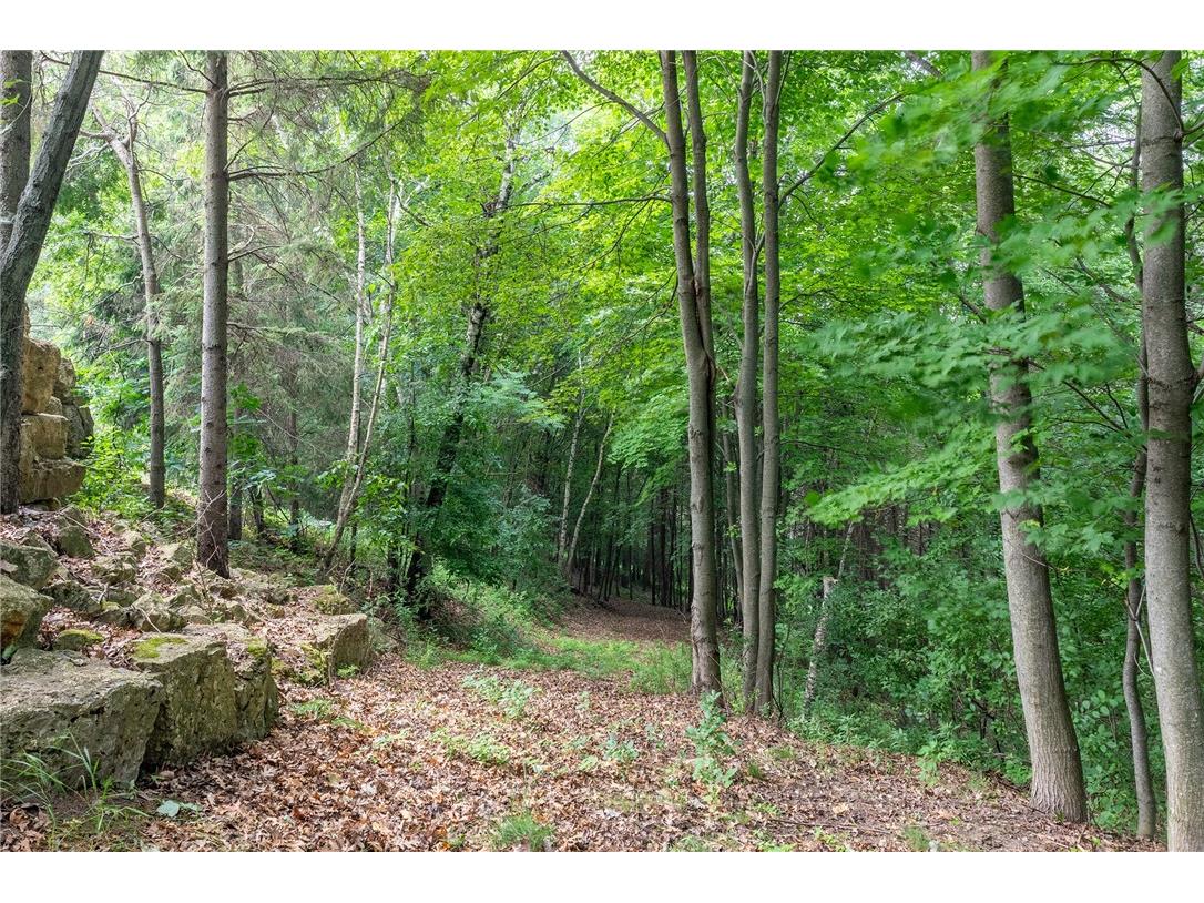 7379 124th Street Chippewa Falls WI 54729 1595195 image46