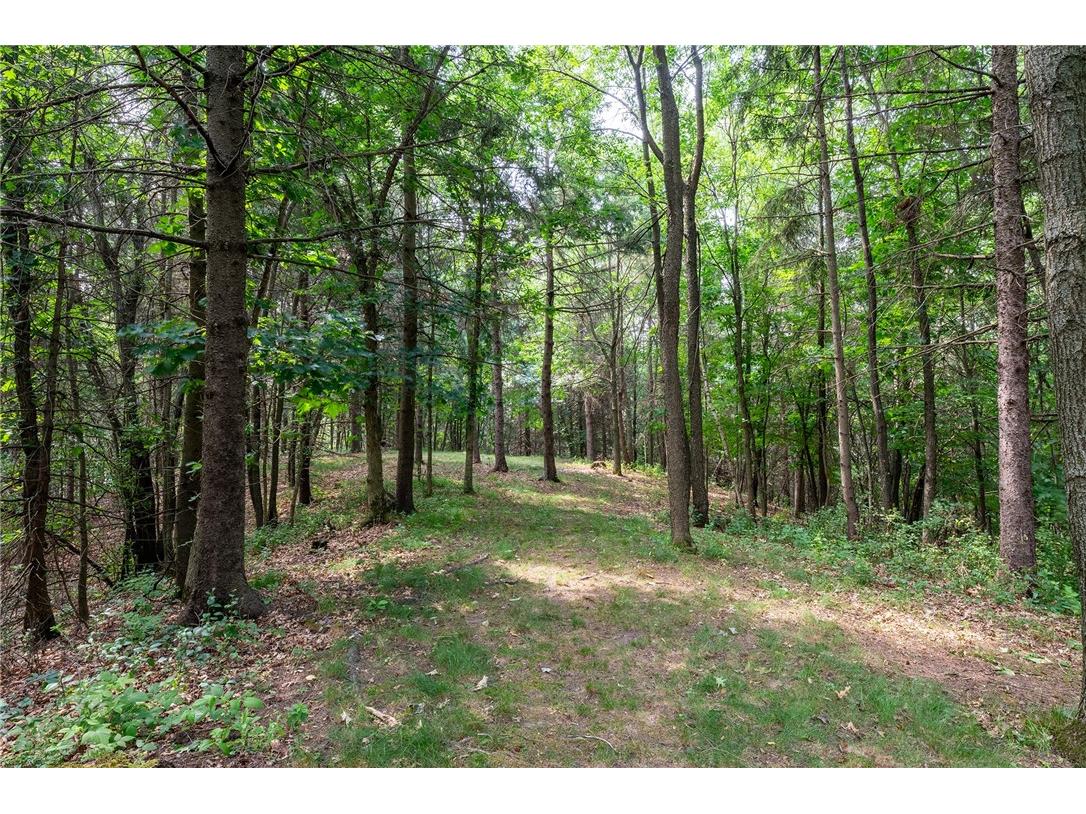 7379 124th Street Chippewa Falls WI 54729 1595195 image48