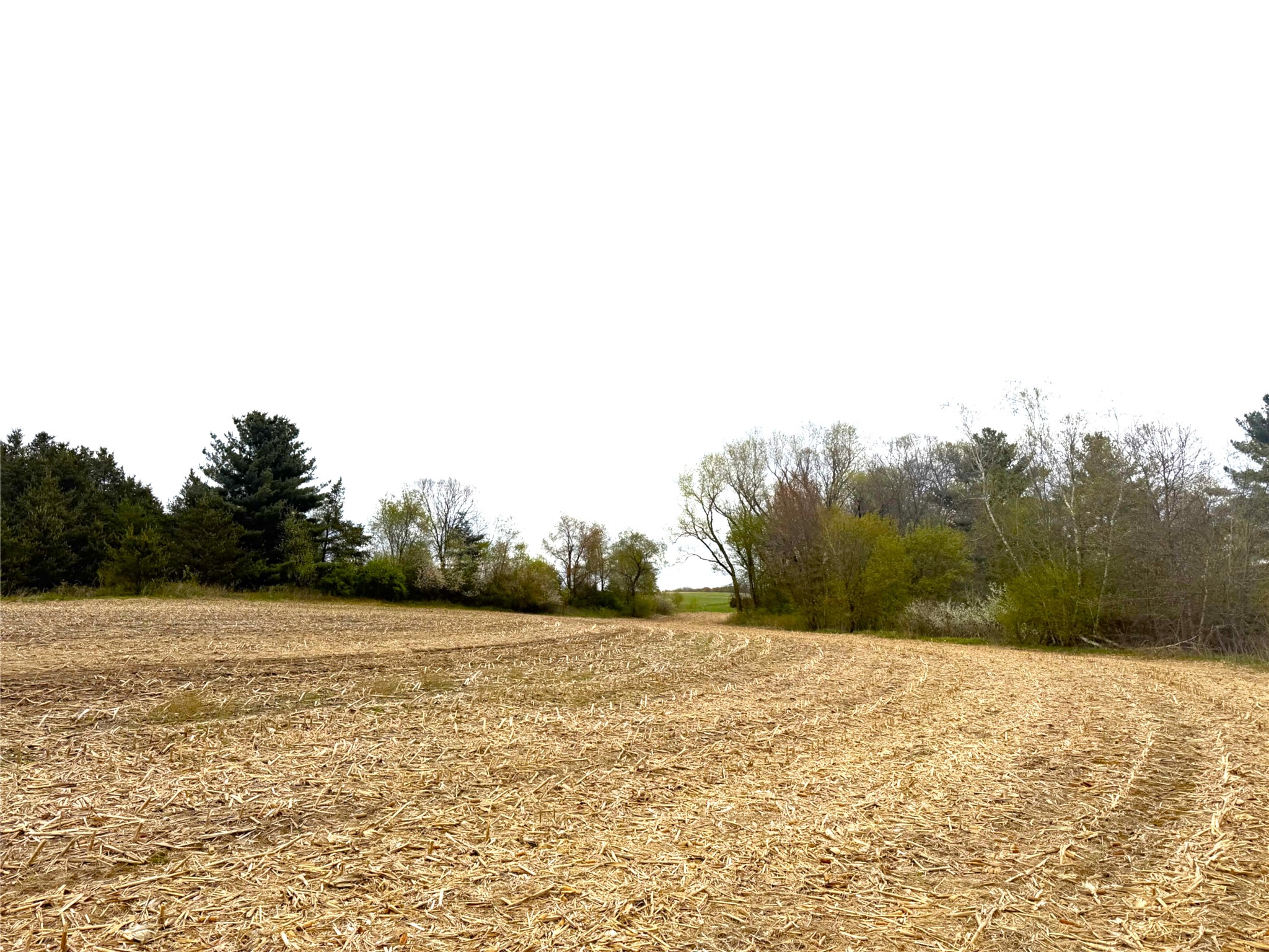 74 acres Sand Prairie Rd. Hixton WI 54635 1600885 image1