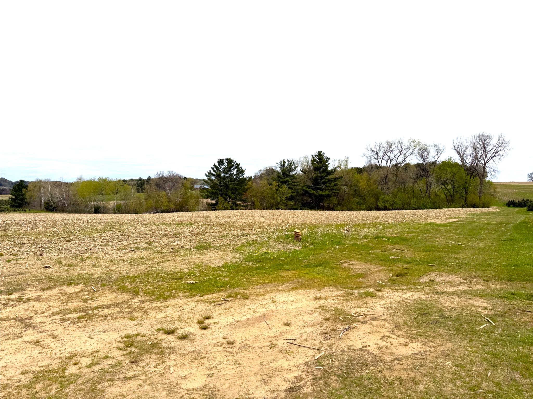 74 acres Sand Prairie Rd. Hixton WI 54635 1600885 image11