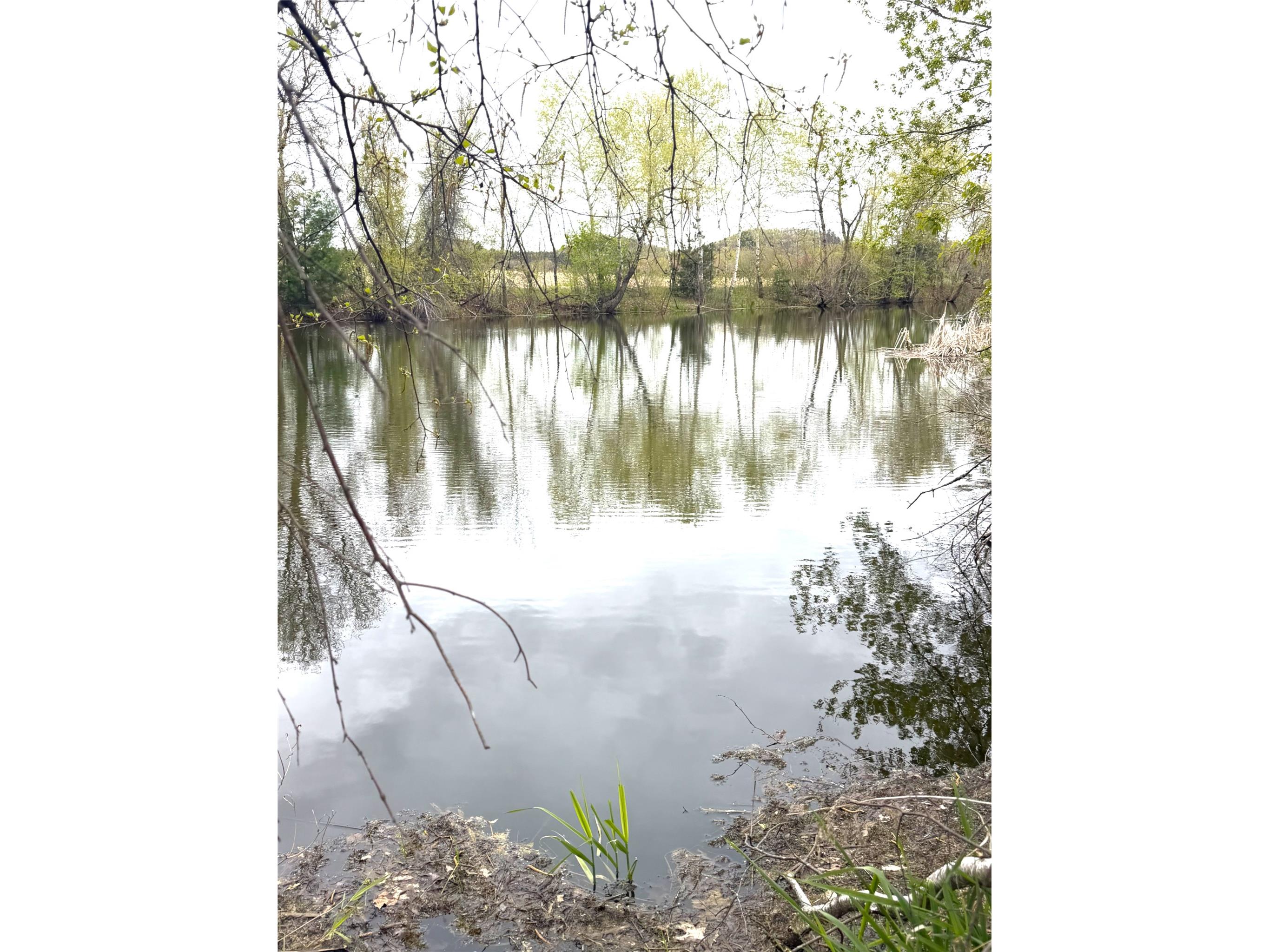 74 acres Sand Prairie Rd. Hixton WI 54635 1600885 image12