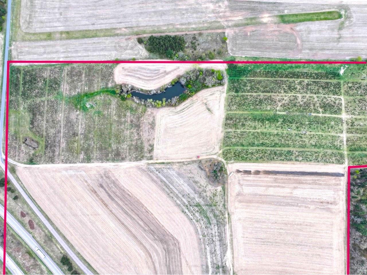 74 acres Sand Prairie Rd. Hixton WI 54635 1600885 image13