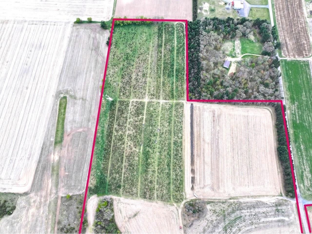 74 acres Sand Prairie Rd. Hixton WI 54635 1600885 image14