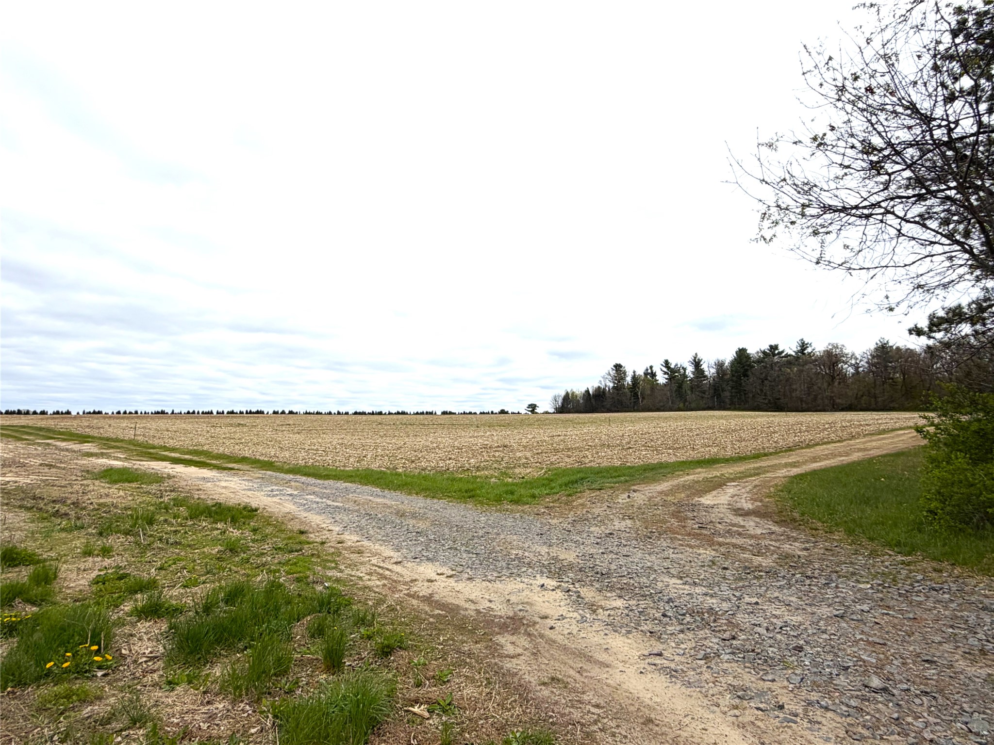 74 acres Sand Prairie Rd. Hixton WI 54635 1600885 image2