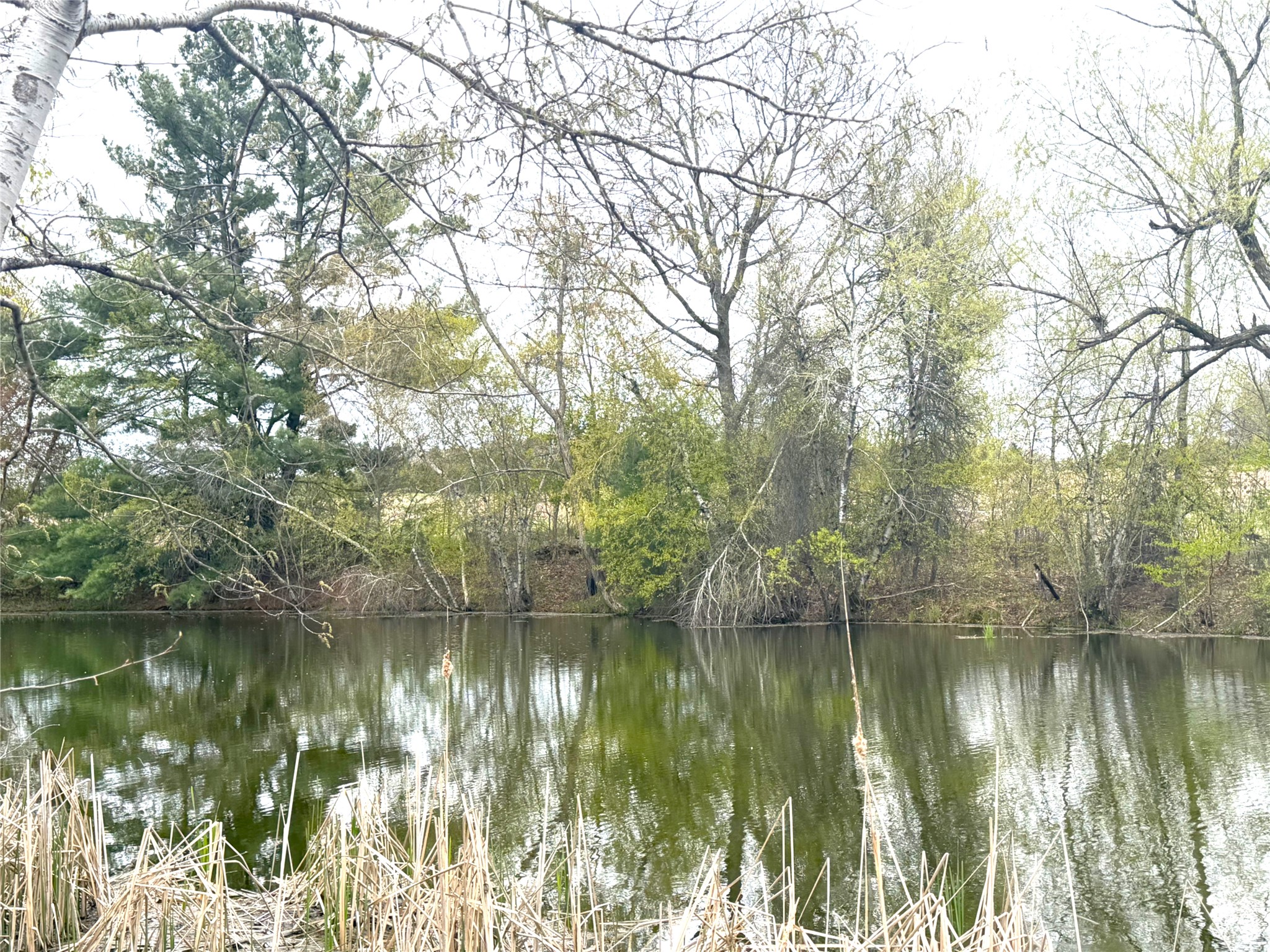 74 acres Sand Prairie Rd. Hixton WI 54635 1600885 image4