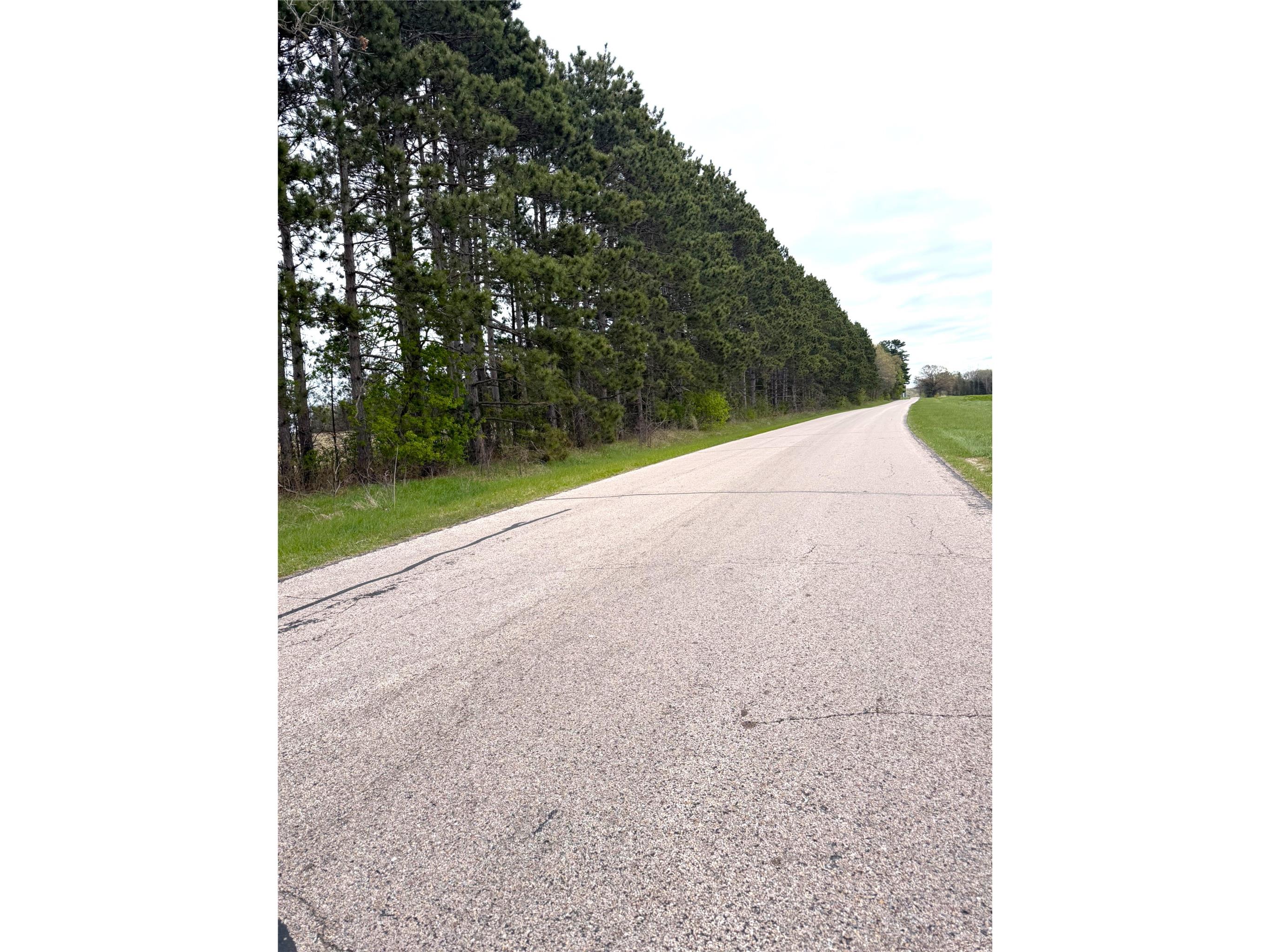 74 acres Sand Prairie Rd. Hixton WI 54635 1600885 image5