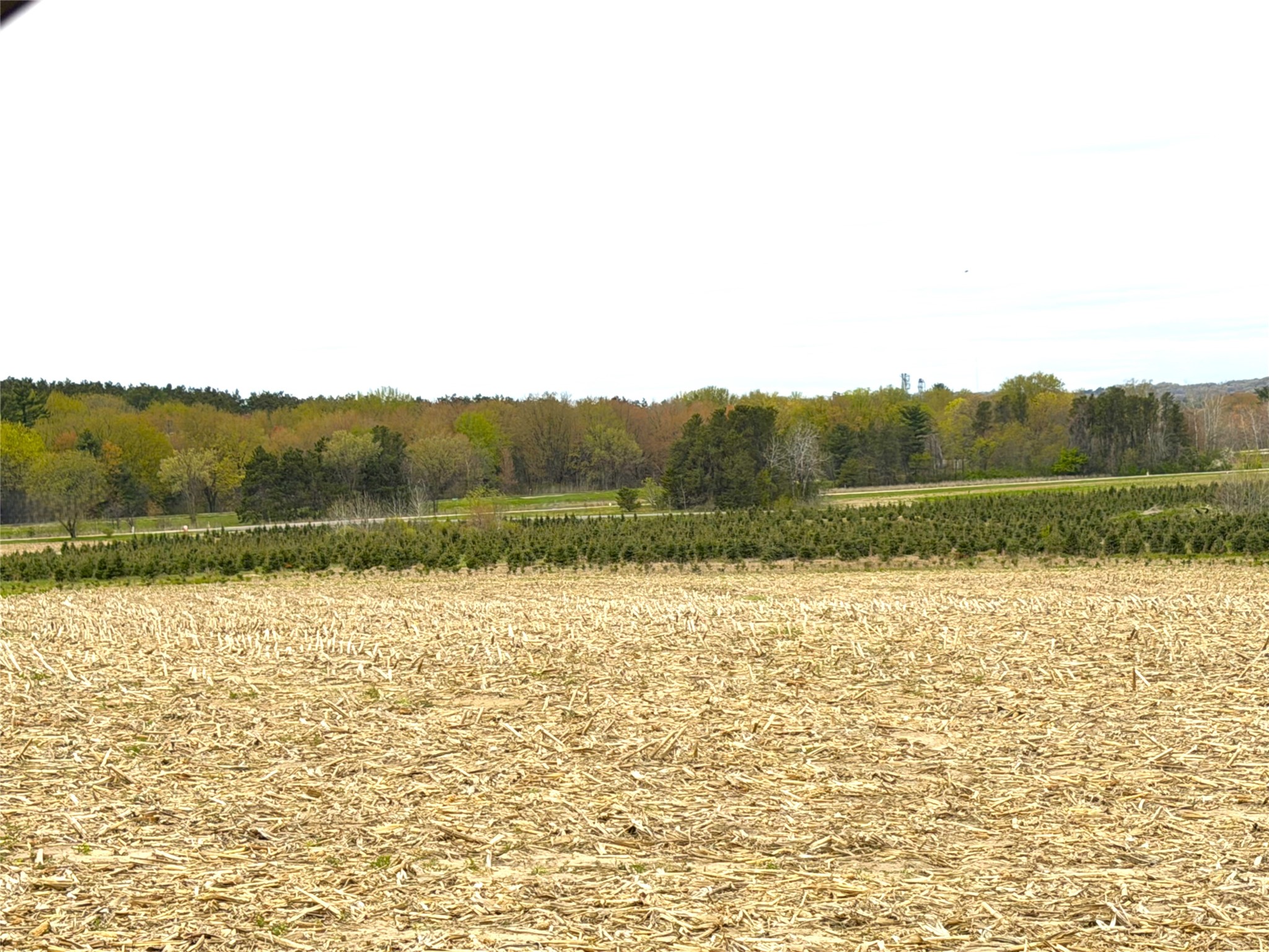 74 acres Sand Prairie Rd. Hixton WI 54635 1600885 image6