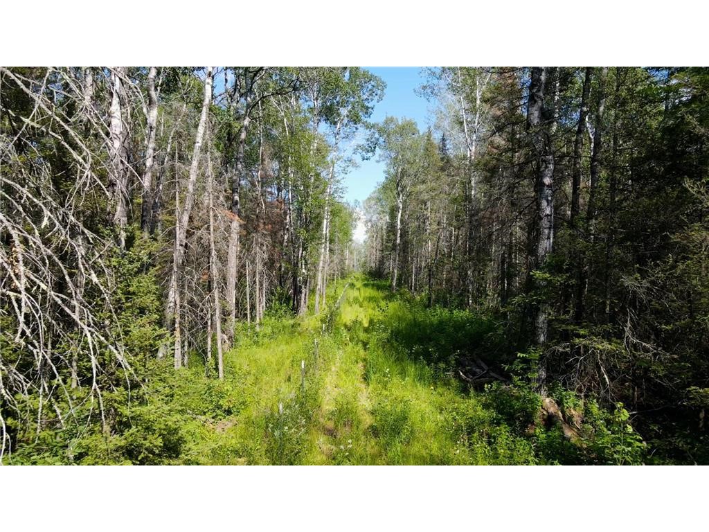 74035 County Highway A Iron River WI 54847 - East Fork Iron River 1567041 image10