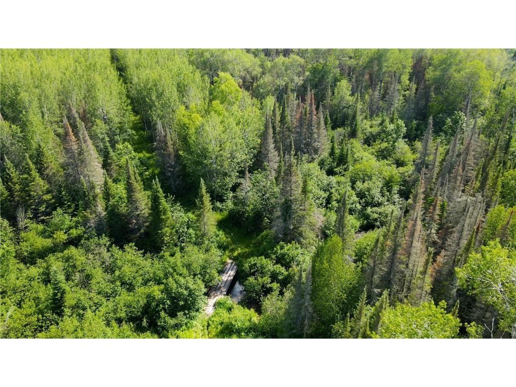 74035 County Highway A Iron River WI 54847 - East Fork Iron River 1567041 image11