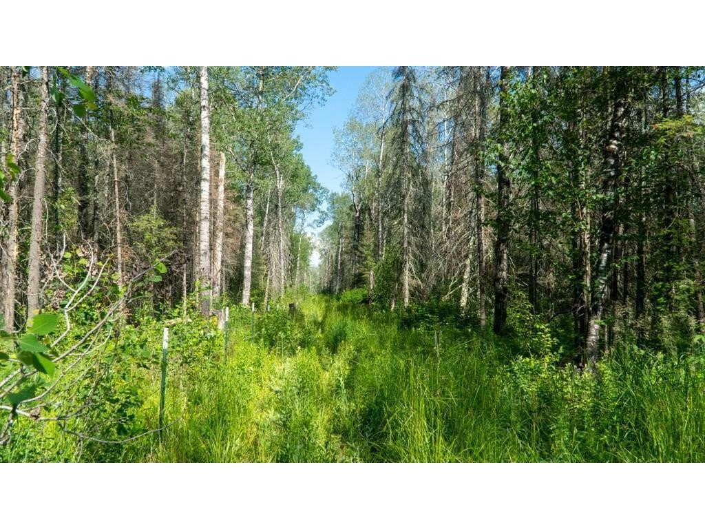 74035 County Highway A Iron River WI 54847 - East Fork Iron River 1567041 image30