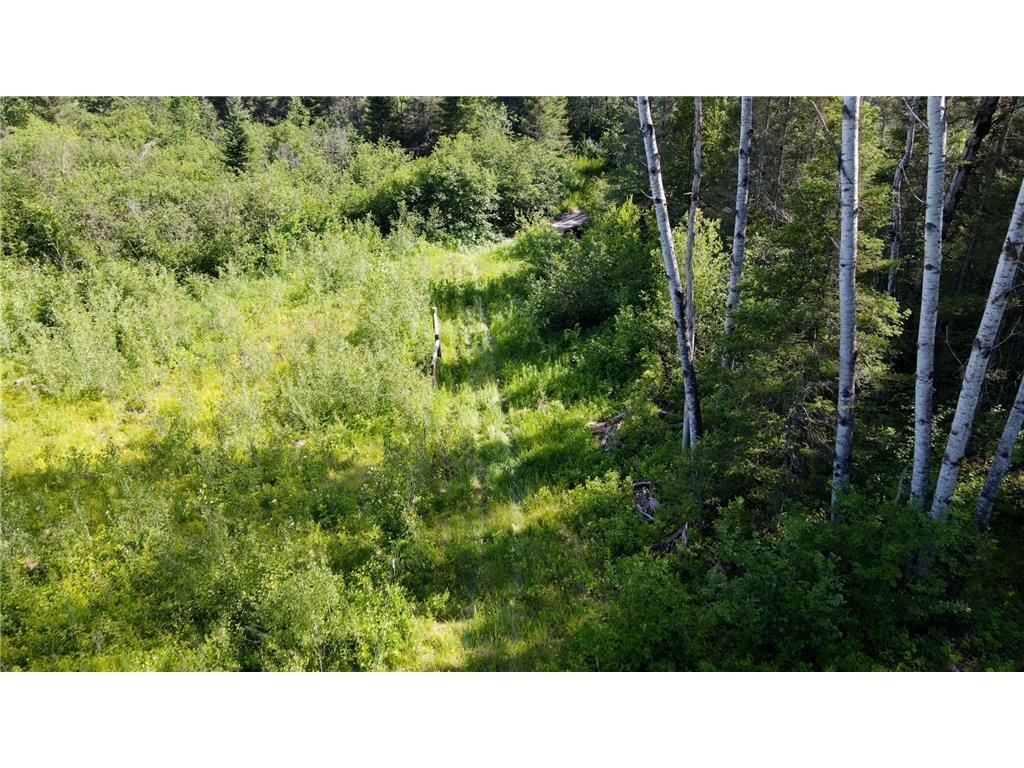 74035 County Highway A Iron River WI 54847 - East Fork Iron River 1567041 image32