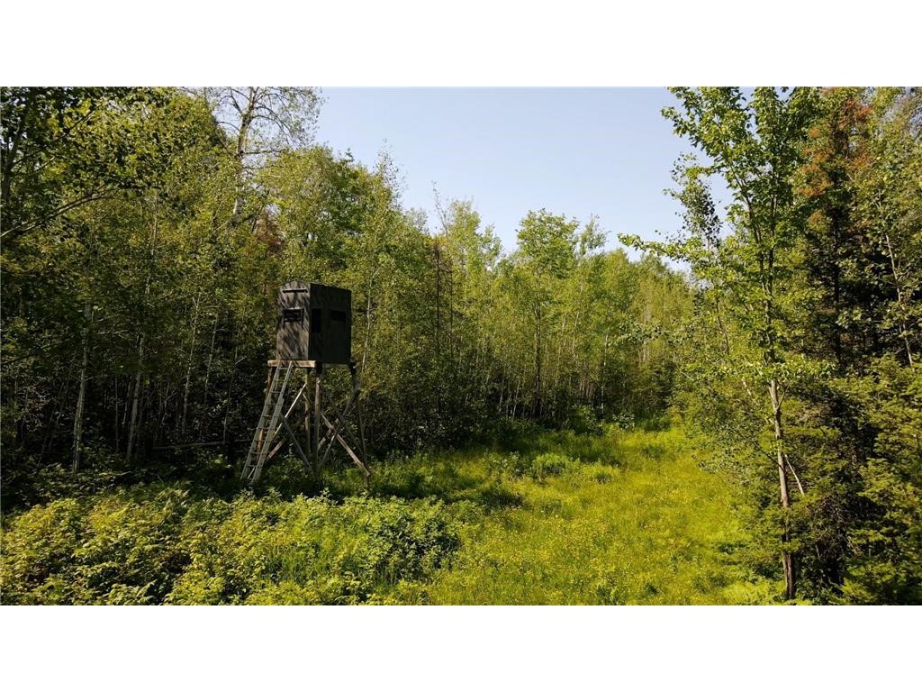 74035 County Highway A Iron River WI 54847 - East Fork Iron River 1567041 image6