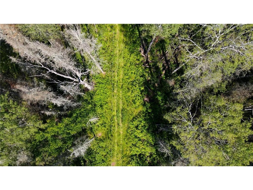 74035 County Highway A Iron River WI 54847 - East Fork Iron River 1567041 image7