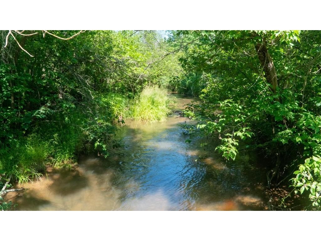 74035 County Highway A Iron River WI 54847 - East Fork Iron River 1567041 image8