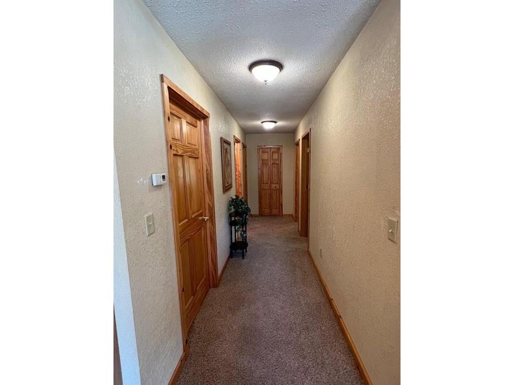 7431 Jordan Buck Trail Danbury WI 54830 1591713 image9