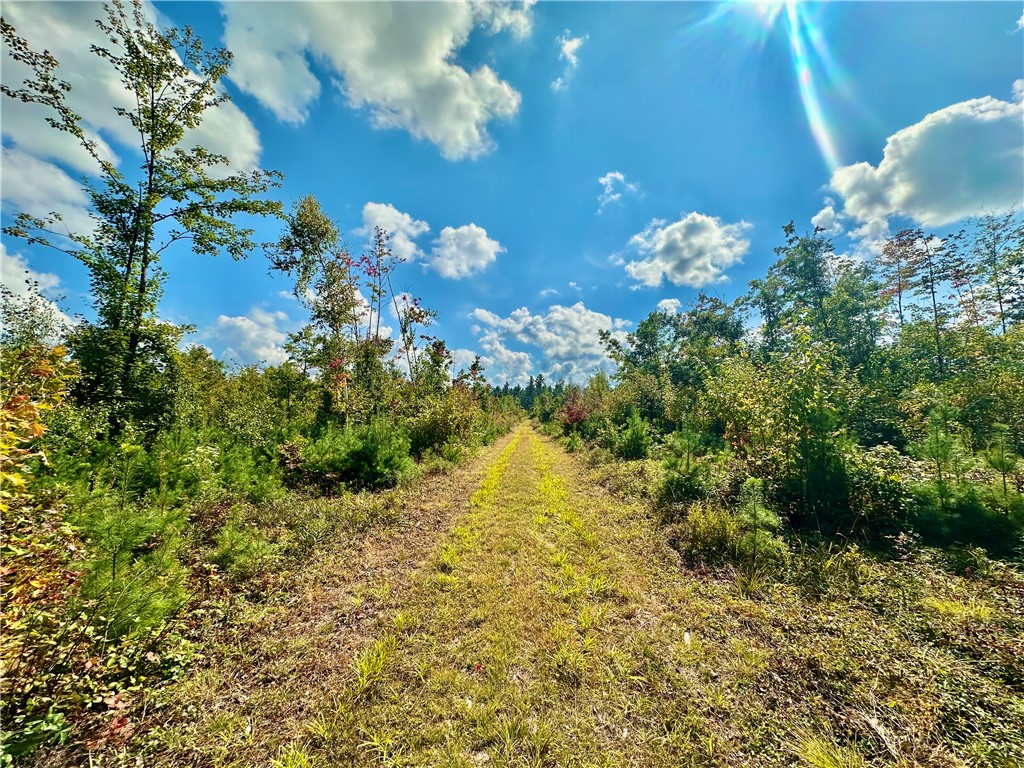 7487 W Poertner Road Neillsville WI 54456 1595674 image1