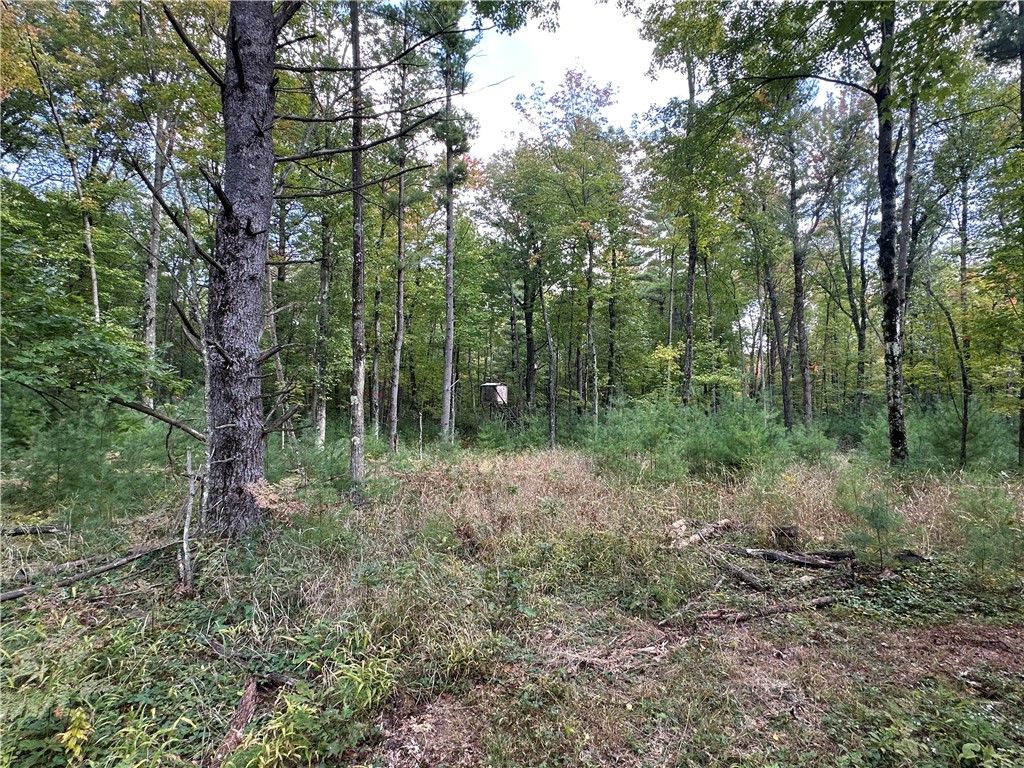 7487 W Poertner Road Neillsville WI 54456 1595674 image11