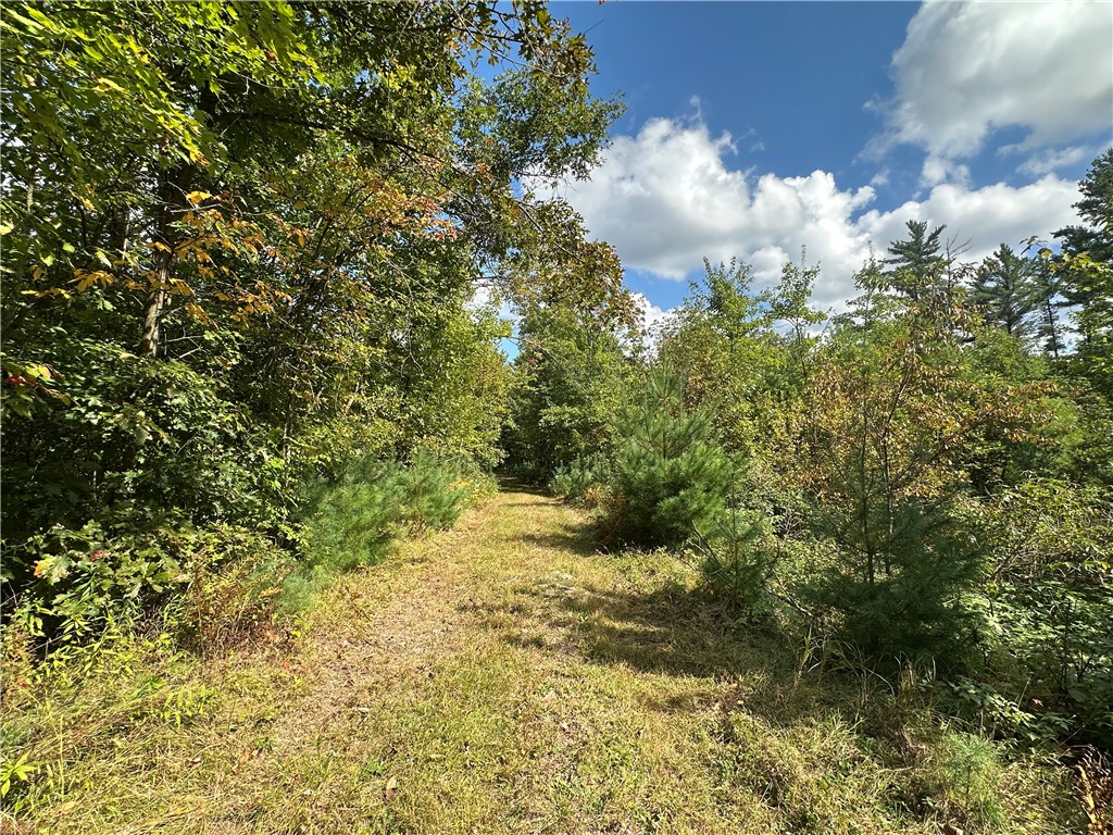 7487 W Poertner Road Neillsville WI 54456 1595674 image15