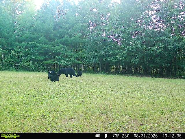 7487 W Poertner Road Neillsville WI 54456 1595674 image17