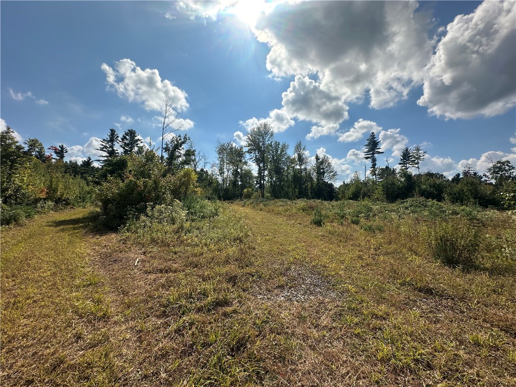 7487 W Poertner Road Neillsville WI 54456 1595674 image20