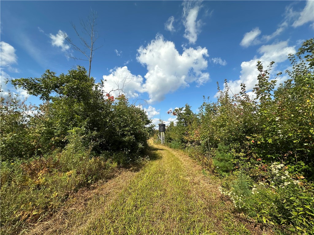 7487 W Poertner Road Neillsville WI 54456 1595674 image23