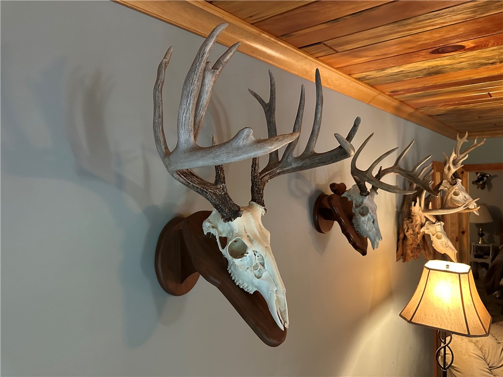 7487 W Poertner Road Neillsville WI 54456 1595674 image27