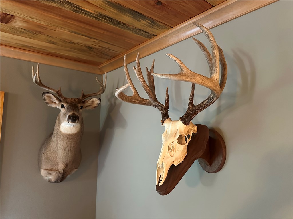 7487 W Poertner Road Neillsville WI 54456 1595674 image28