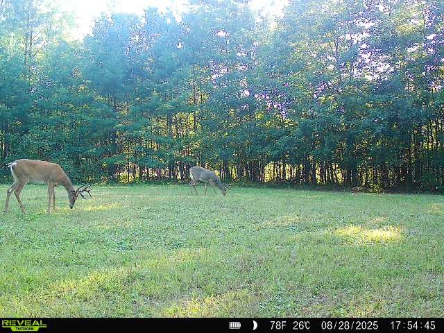 7487 W Poertner Road Neillsville WI 54456 1595674 image4