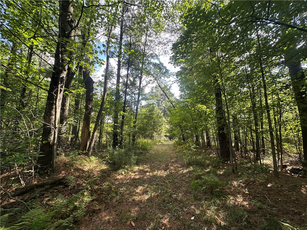 7487 W Poertner Road Neillsville WI 54456 1595674 image8