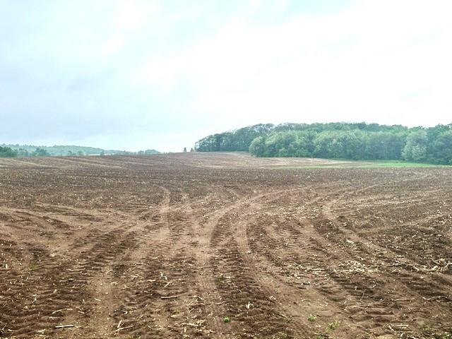 75.11 Acres E 00 County Road V Strum WI 54770 - Trib Otter Creek 1582296 image1