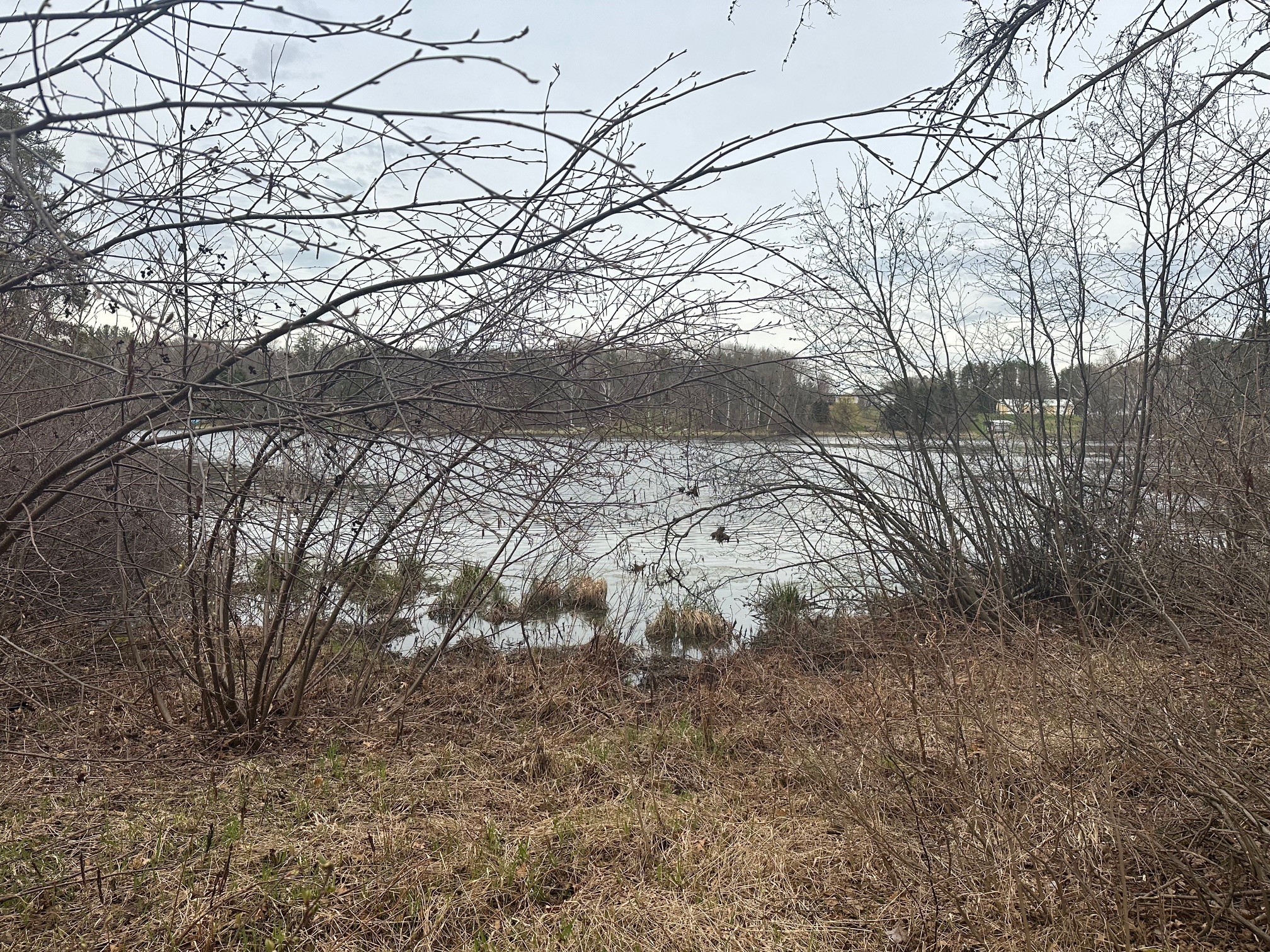 7516 N Wood Drive Trego WI 54888 - Trego 1602112 image1