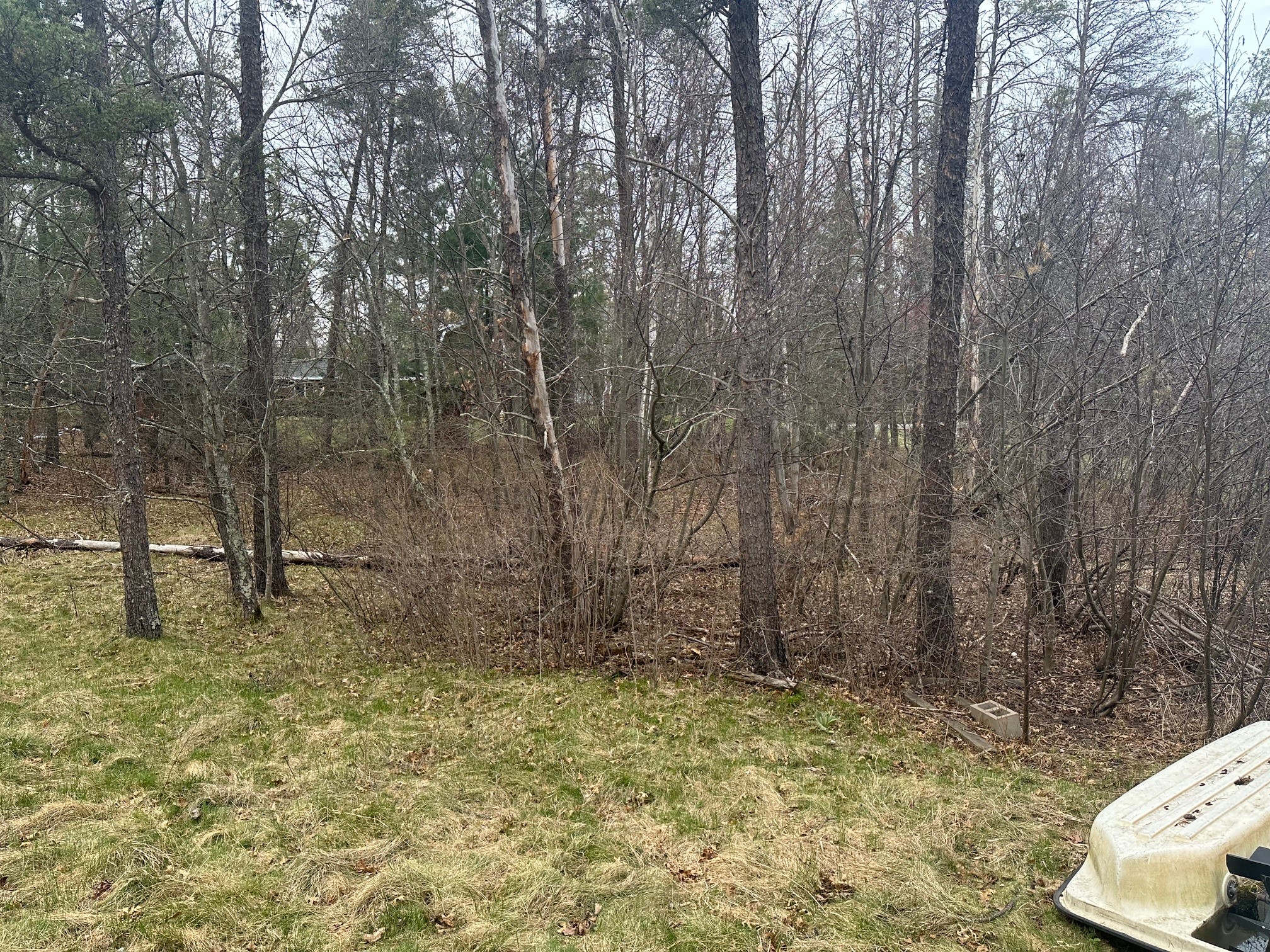 7516 N Wood Drive Trego WI 54888 - Trego 1602112 image4