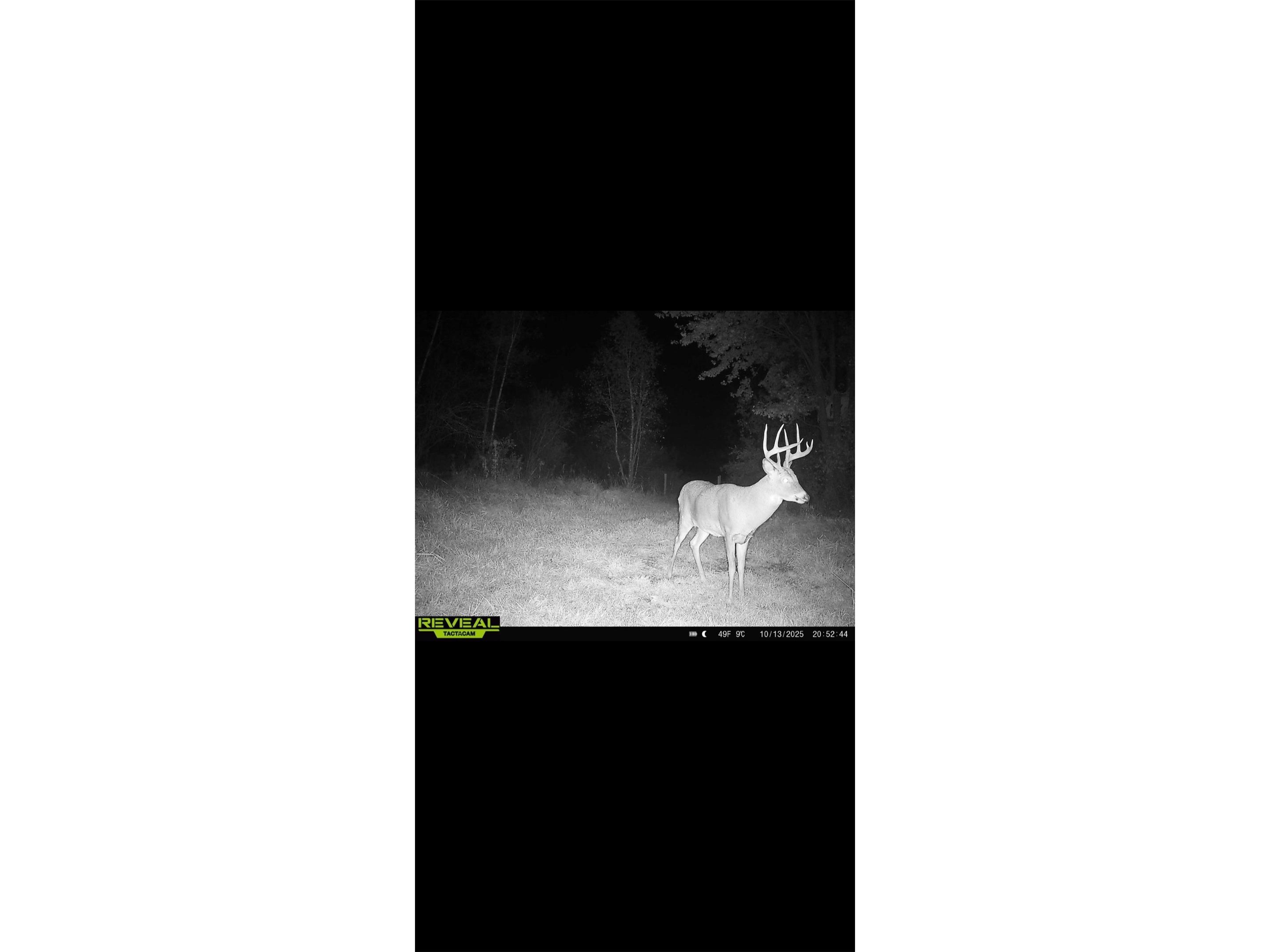 754 Anderson Street Augusta WI 54722 1601086 image60