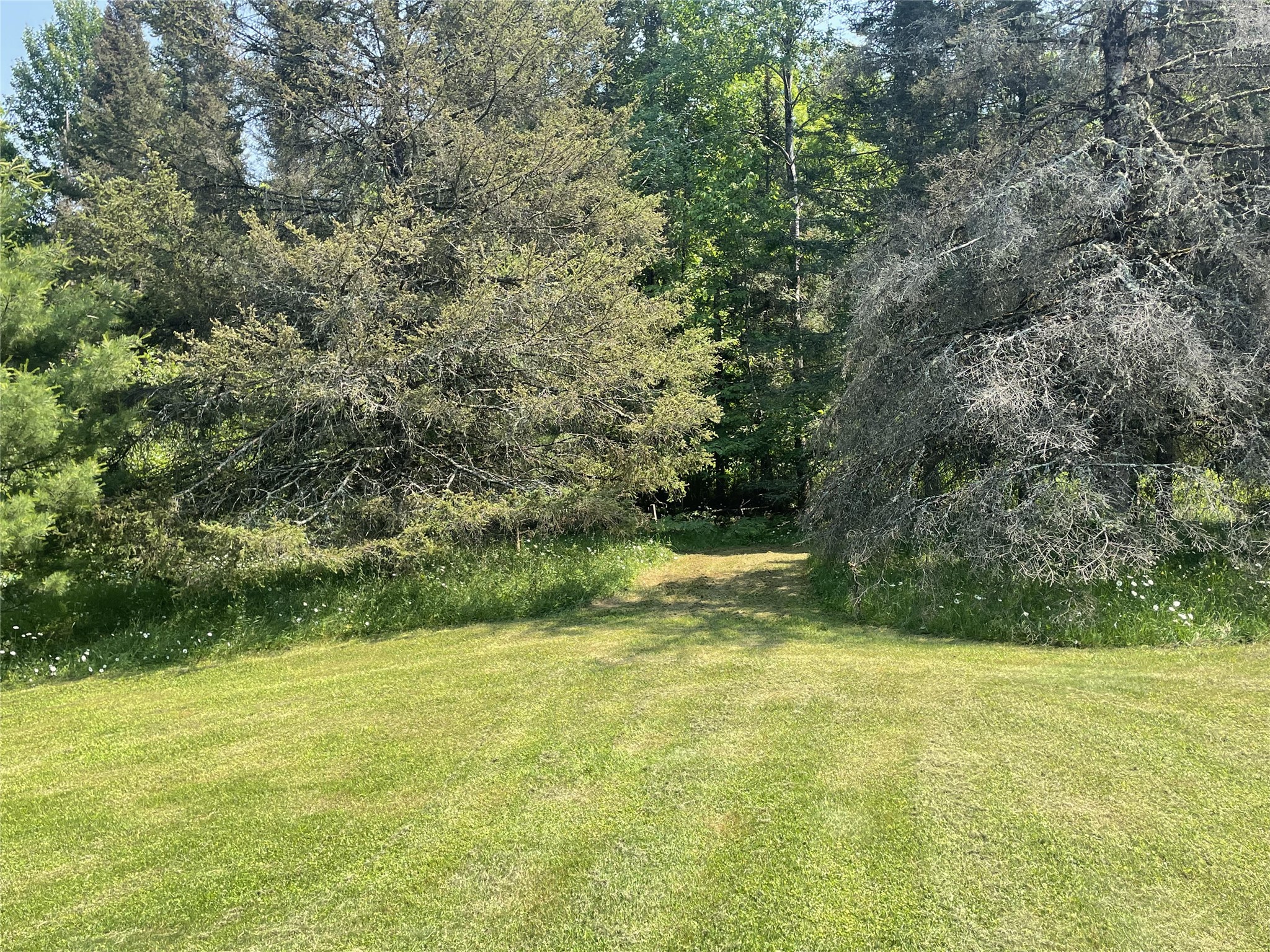 75782 Gear Road Glidden WI 54527 1602866 image33