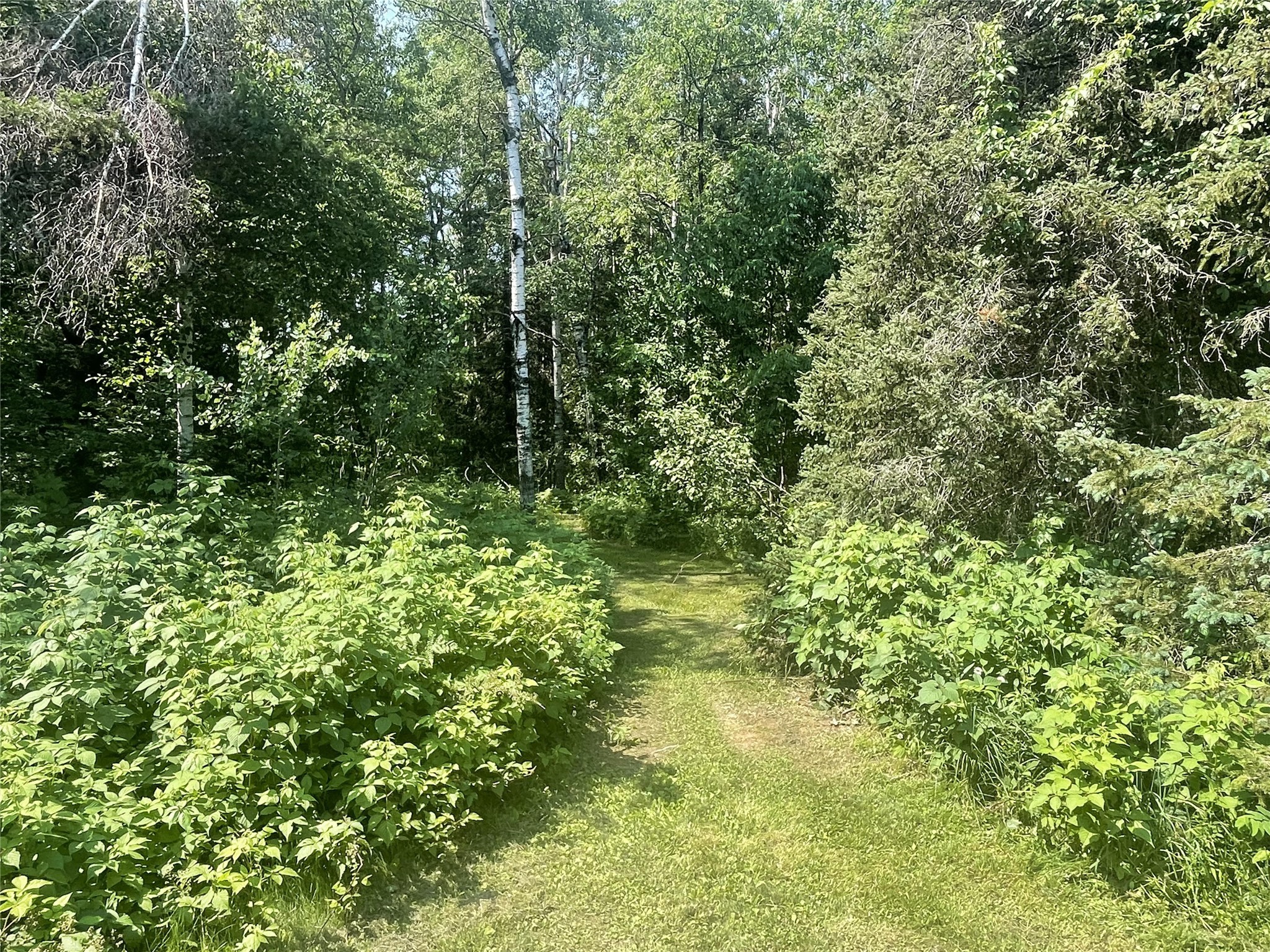 75782 Gear Road Glidden WI 54527 1602866 image38