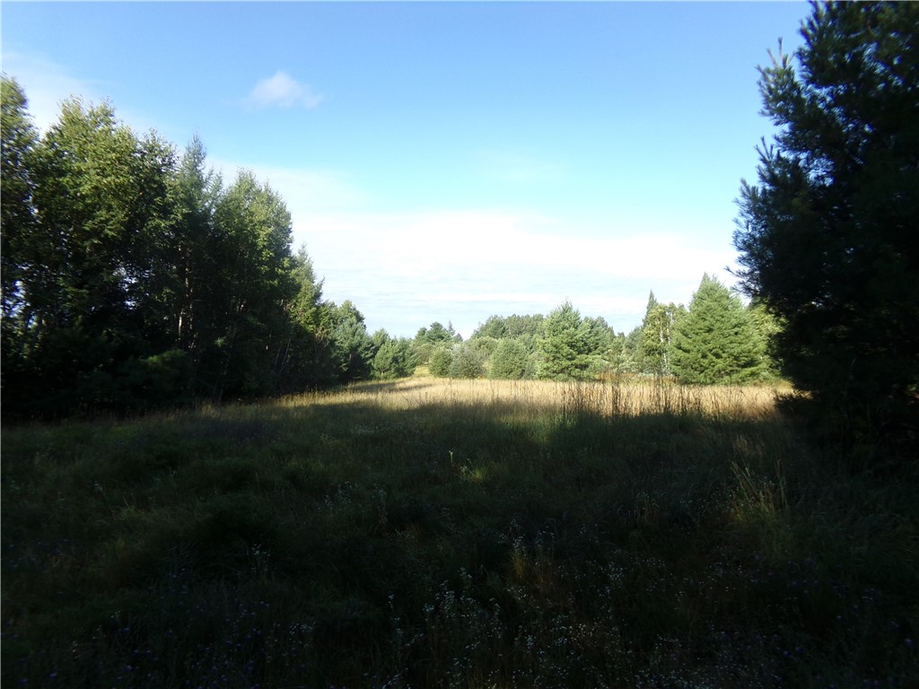 7581 S Marsik Lot 1 Road Lake Nebagamon WI 54849 - Minnesing Creek 1594623 image1